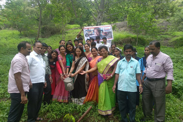 Tree Plantation